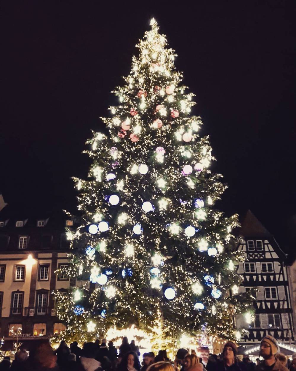 Christmas tree in Strasbourg, France